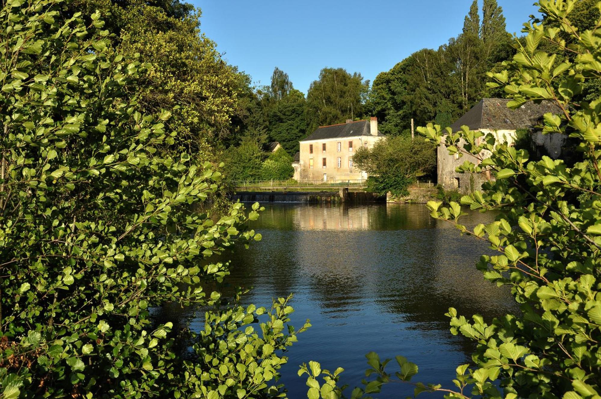 Bed and Breakfast Grange du Plessis Segré Exterior foto